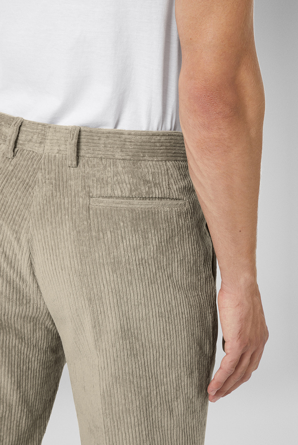 Double pleat classic trousers in cotton - Pal Zileri shop online