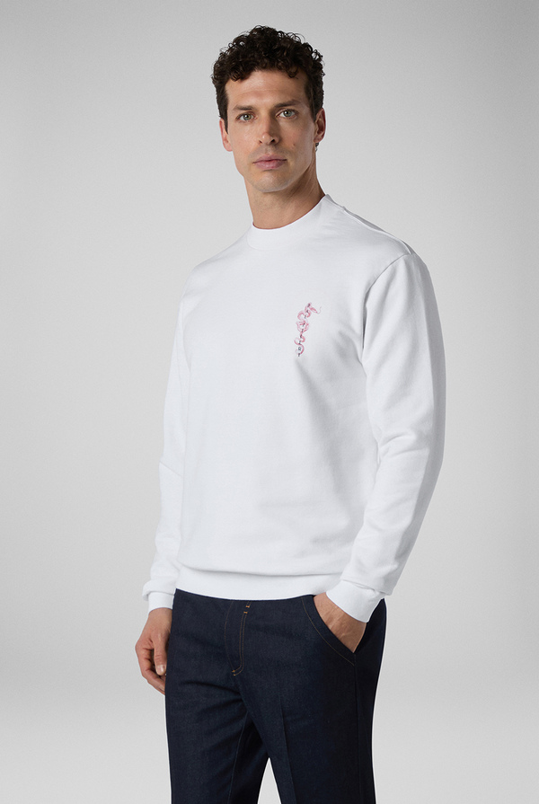 Sweatshirt in pure cotton - Pal Zileri shop online